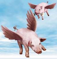 [Image: th_61188_Pigs_might_Fly_123_1121lo.jpg]