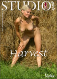 Valia - Harvest-f09e23exnb.jpg